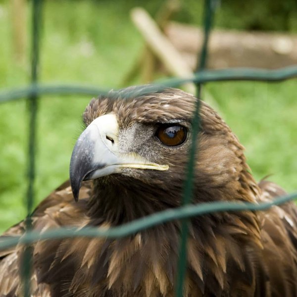 les techniques de storytelling pour captiver votre audience