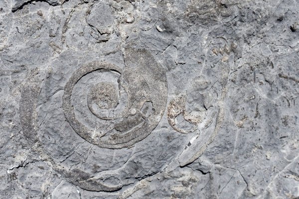 Comment choisir un service de gestion des réseaux sociaux pour une entreprise artisanale ?